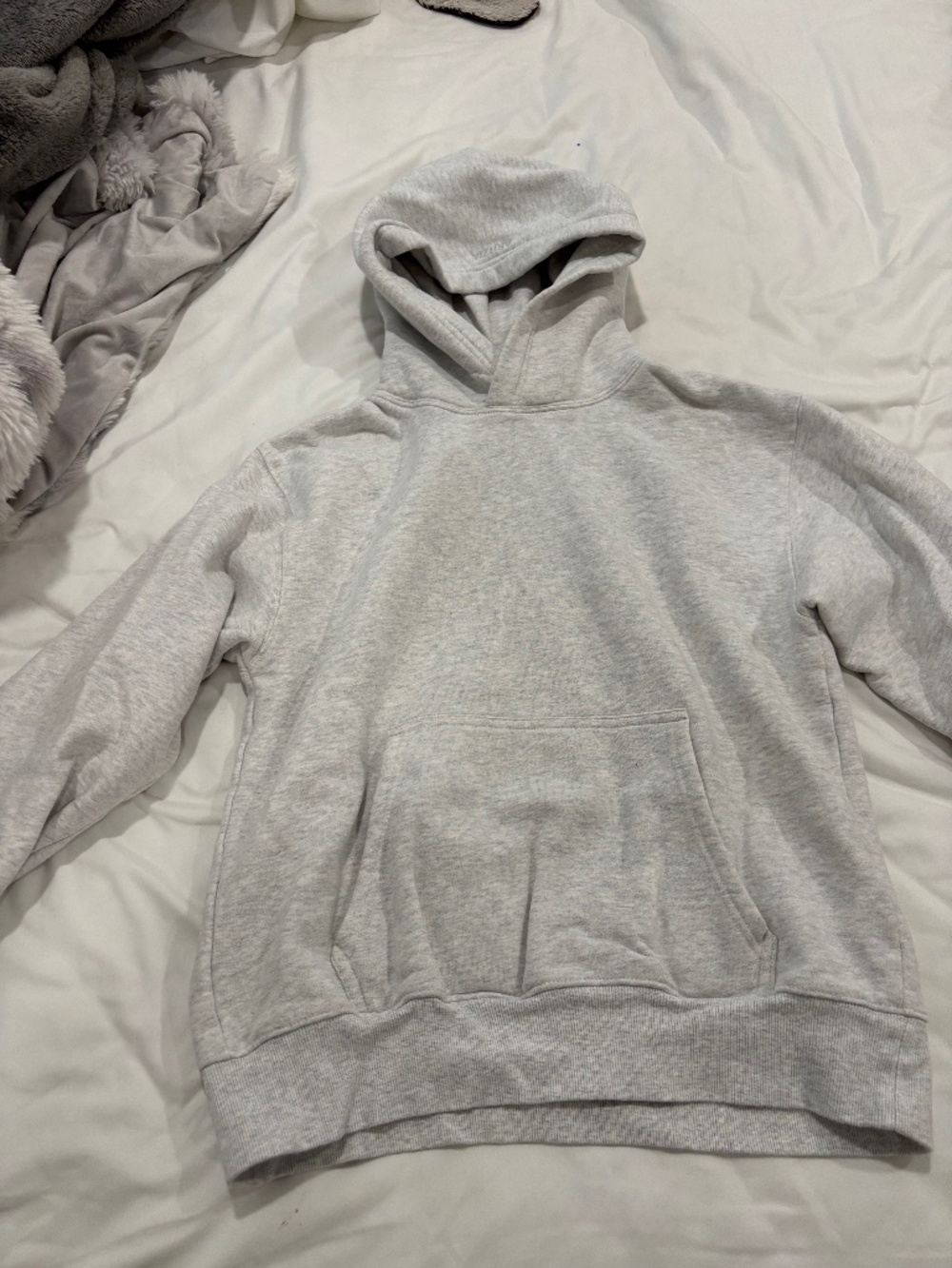 Aritzia hoodie